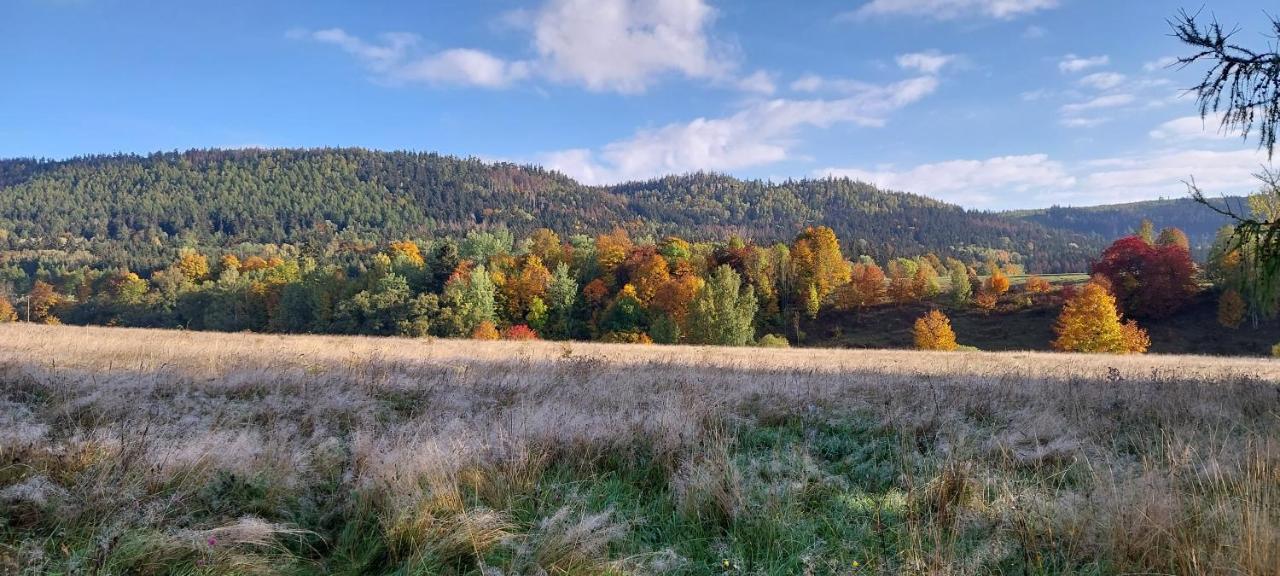 Domki Pod Sudeckim Niebem Villa Duszniki Zdroj Bagian luar foto