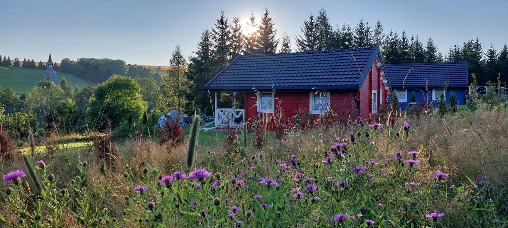 Domki Pod Sudeckim Niebem Villa Duszniki Zdroj Bagian luar foto